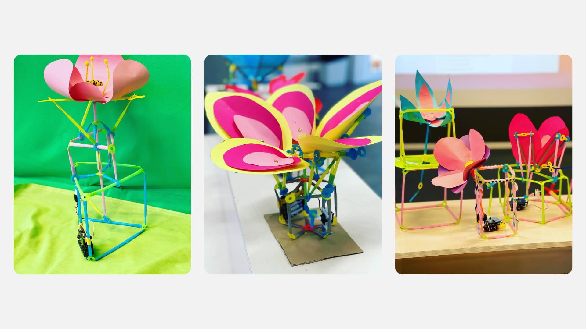 Plants that sense light bloomed by students of the Sollentuna Makerspace in Stockholm, Sweden engaged in the Plant Physiology lesson.